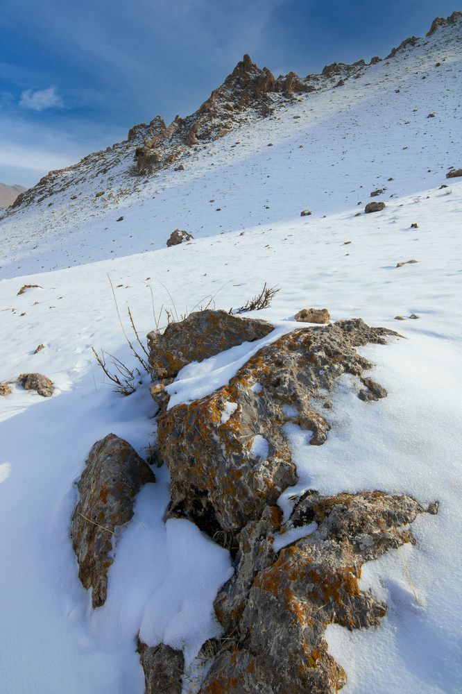 Photograph by Hossein Zeinali