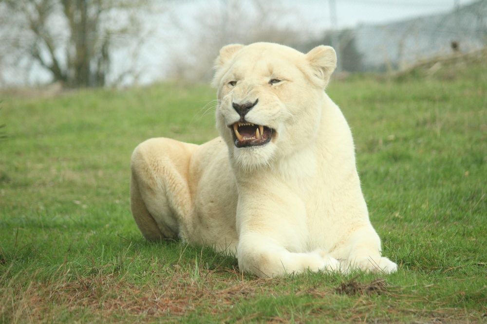 Photograph by Sharad vadoliya