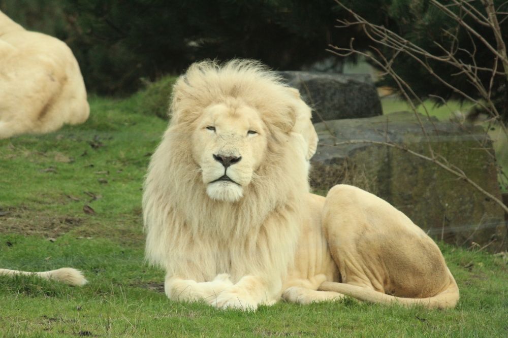 Photograph by Sharad vadoliya