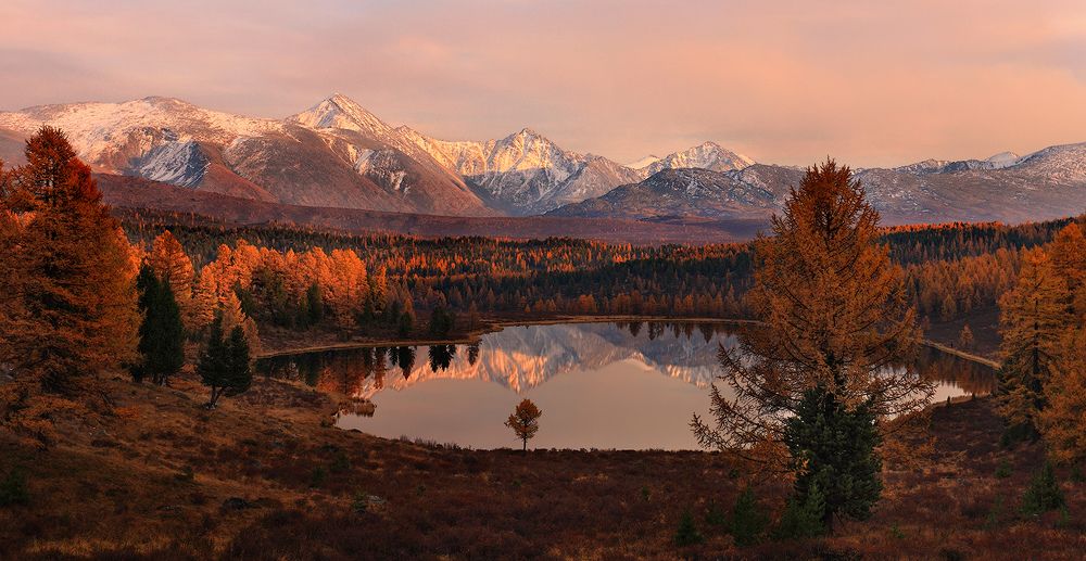 Photograph by Sokolova Tatiana