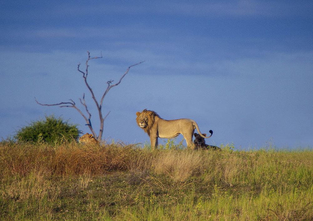 Photograph by Lynda Charles