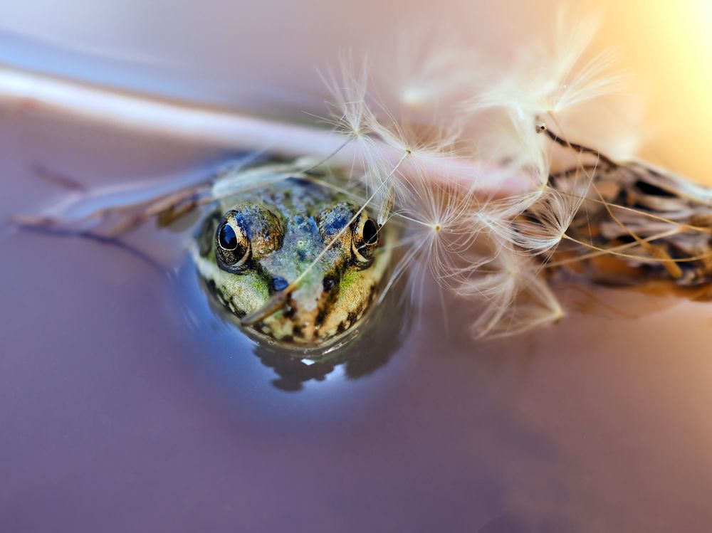 Photograph by Сергей Калёв