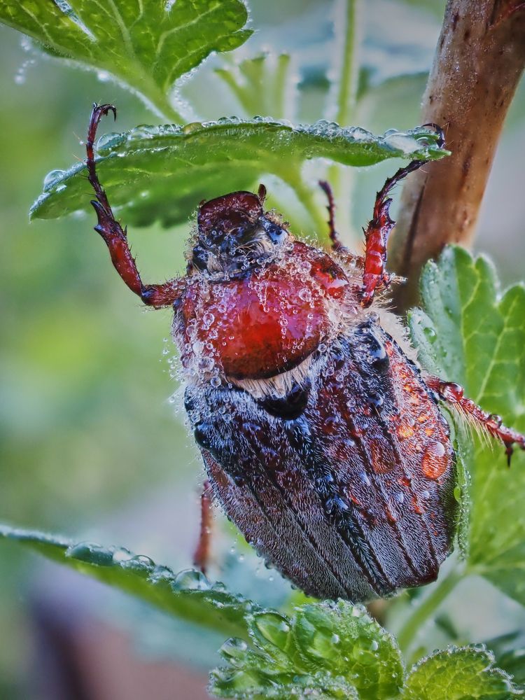 Photograph by Сергей Калёв