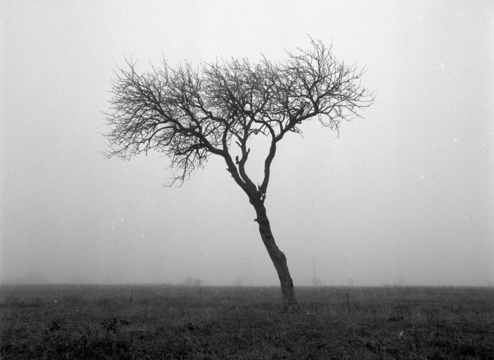 Photograph by Ivaylo Bozhinov