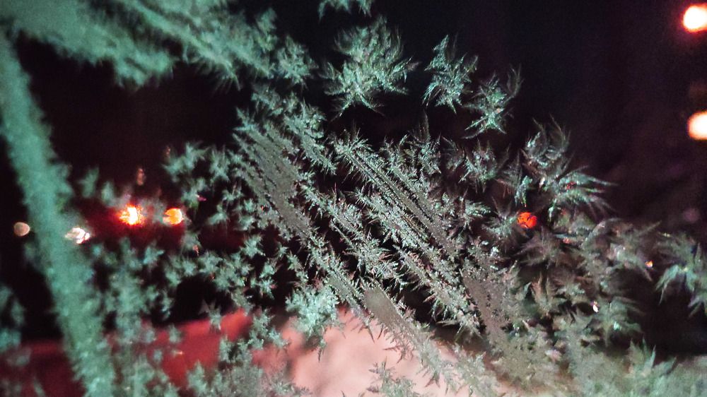 Photograph by Сергей Заподовников