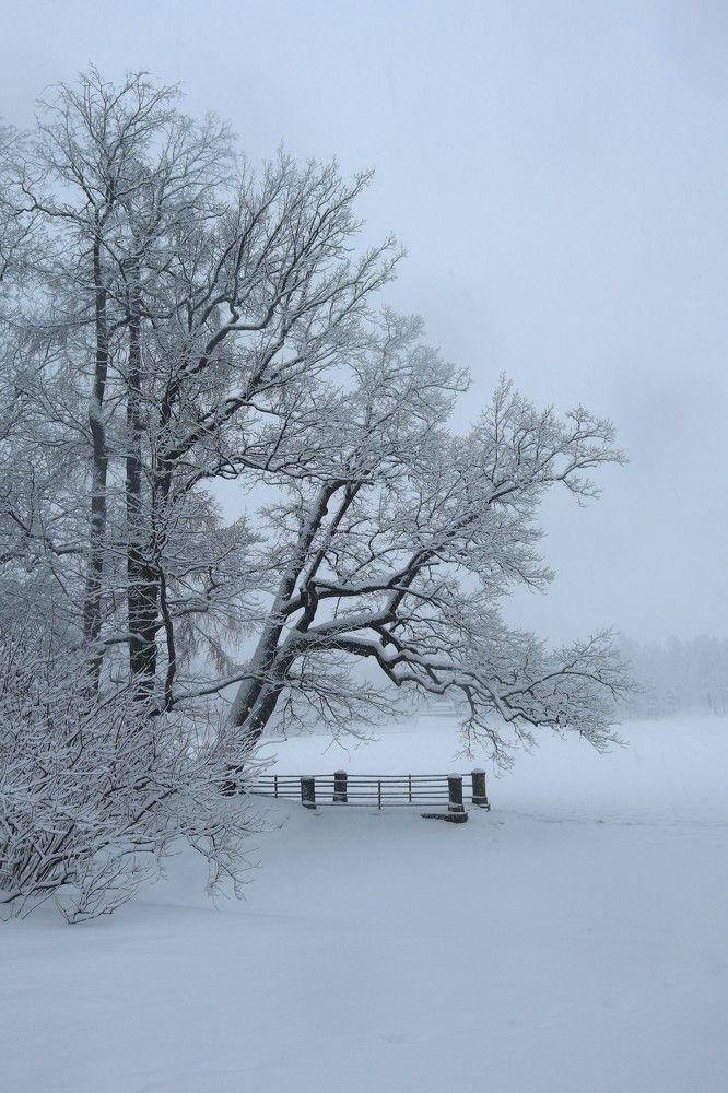 Photograph by Светлана Попова