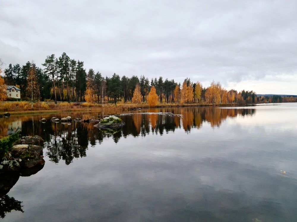 Photograph by Farah Ali