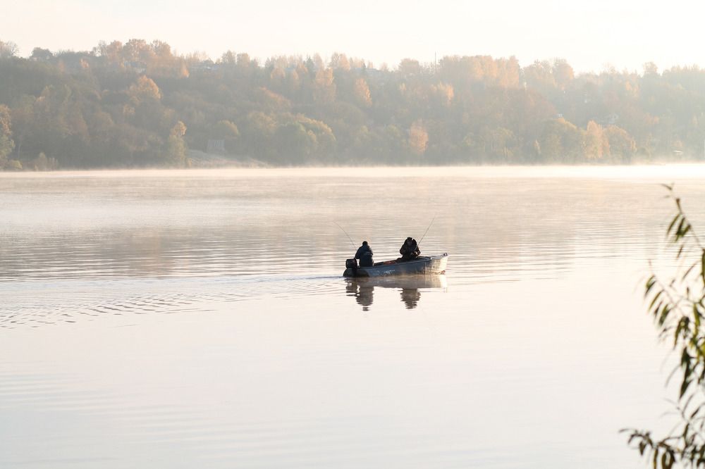 Photograph by Елена