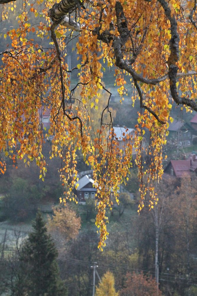 Photograph by Елена