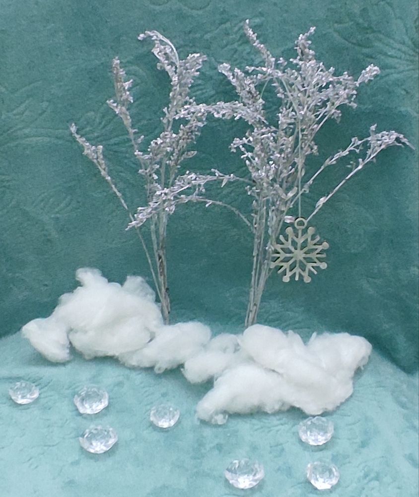 Северный полюс.