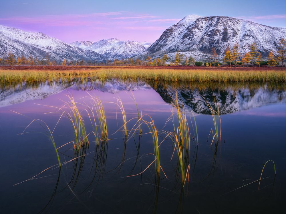 Фотография автора Дмитрий Медянцев