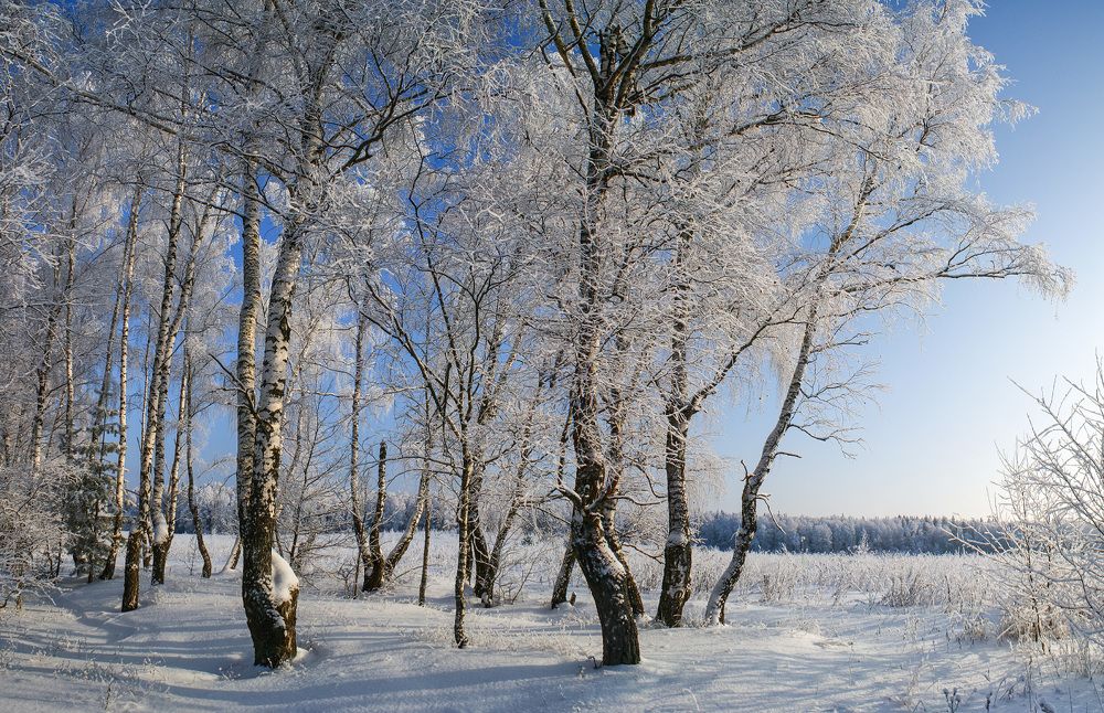 Мороз и солнце; день чудесный!