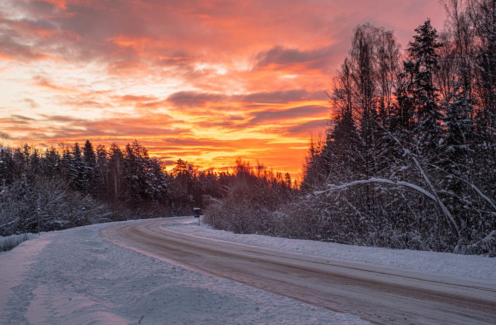 Фотография автора Aлексей Игнатьев