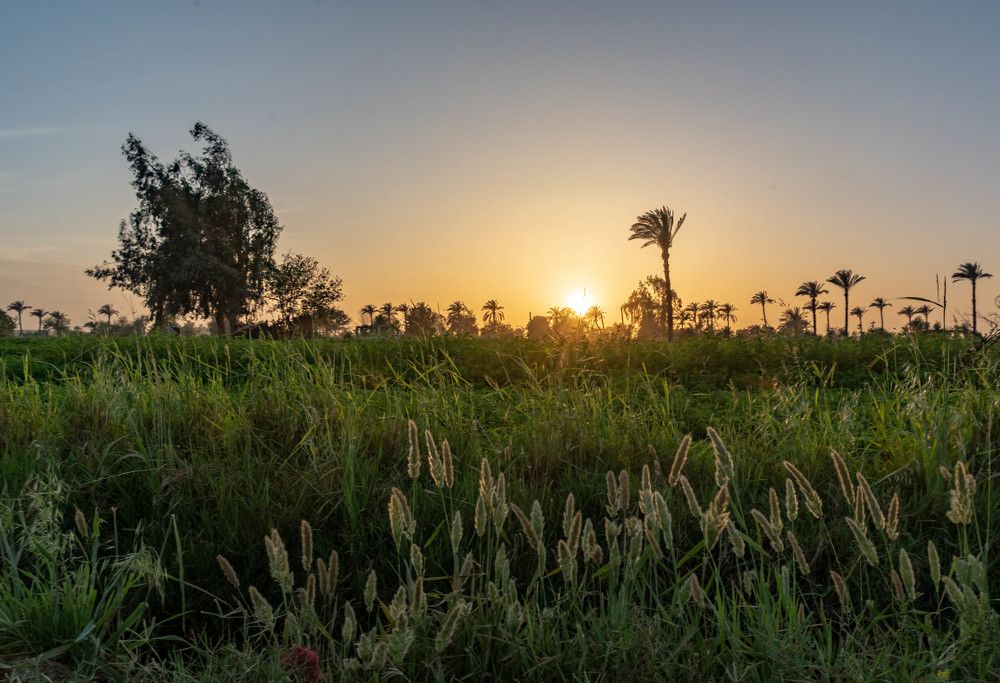 Photograph by Mahmoud Gomaa