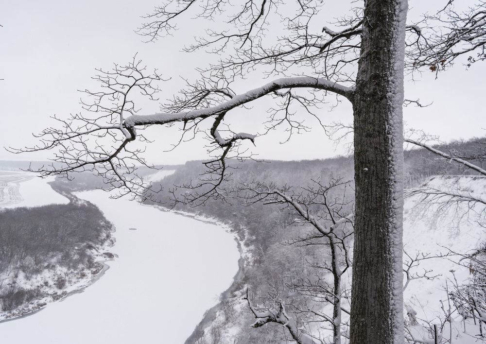 Зима в Кривоворье