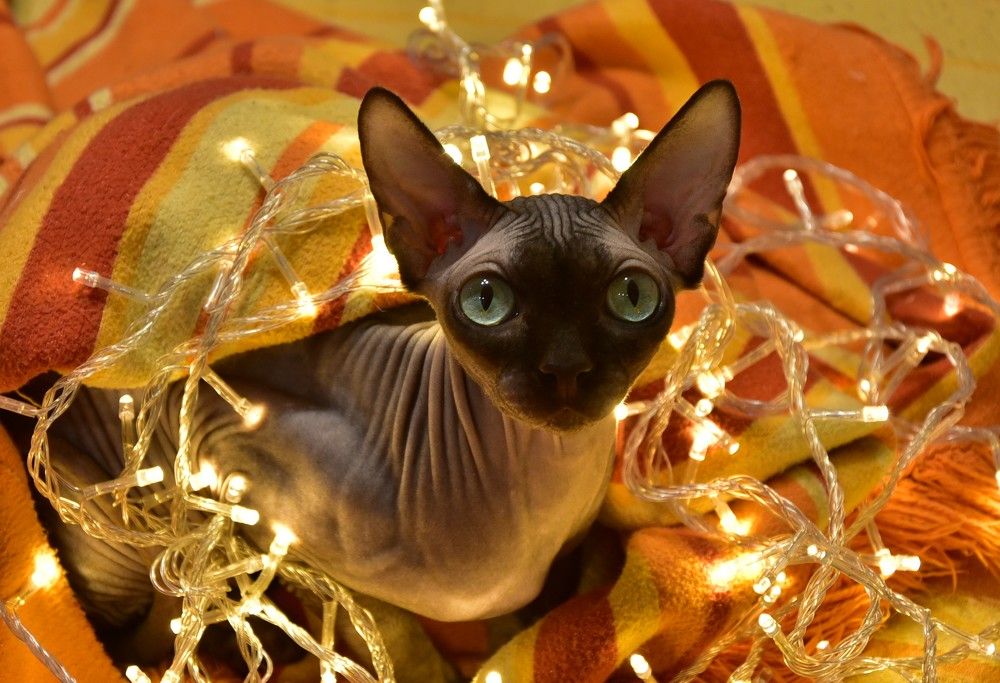 Photograph by Александрова Ольга