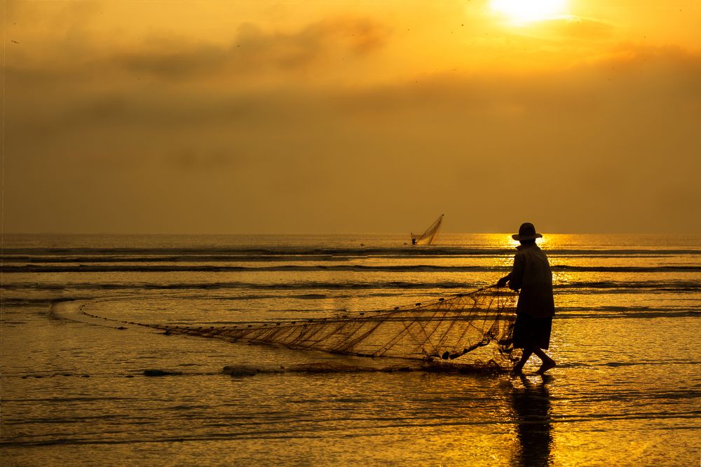 Photograph by phong nguyen