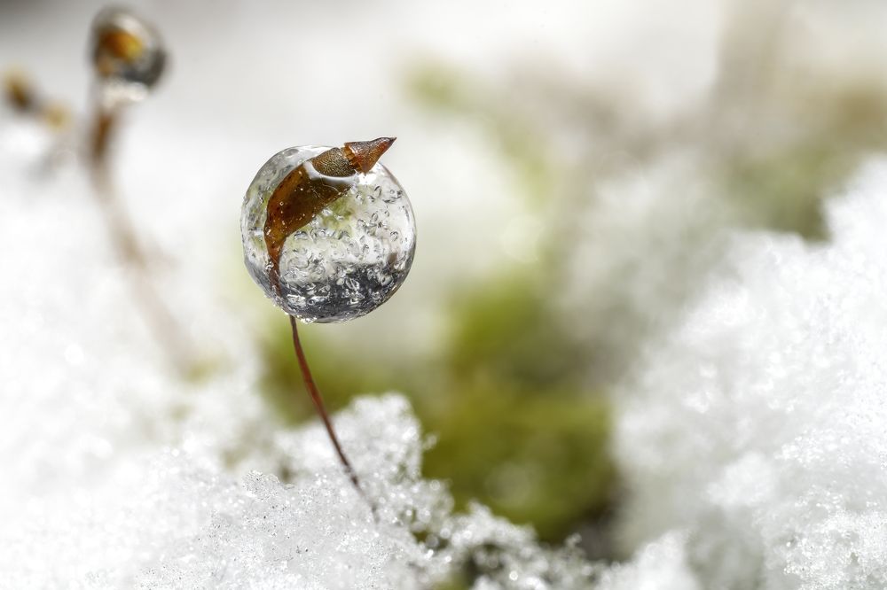 Фотография автора Eimar Kull