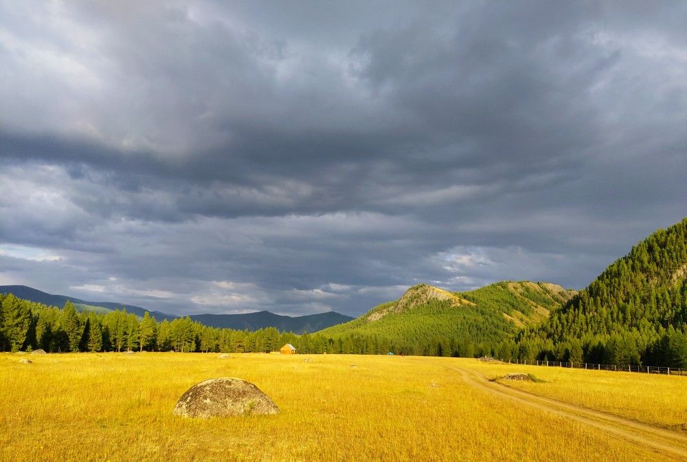 Место под солнцем