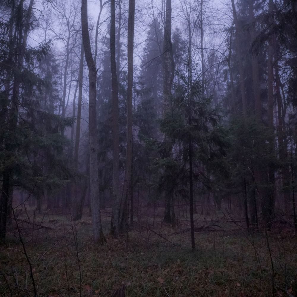 Photograph by Илья Воякин