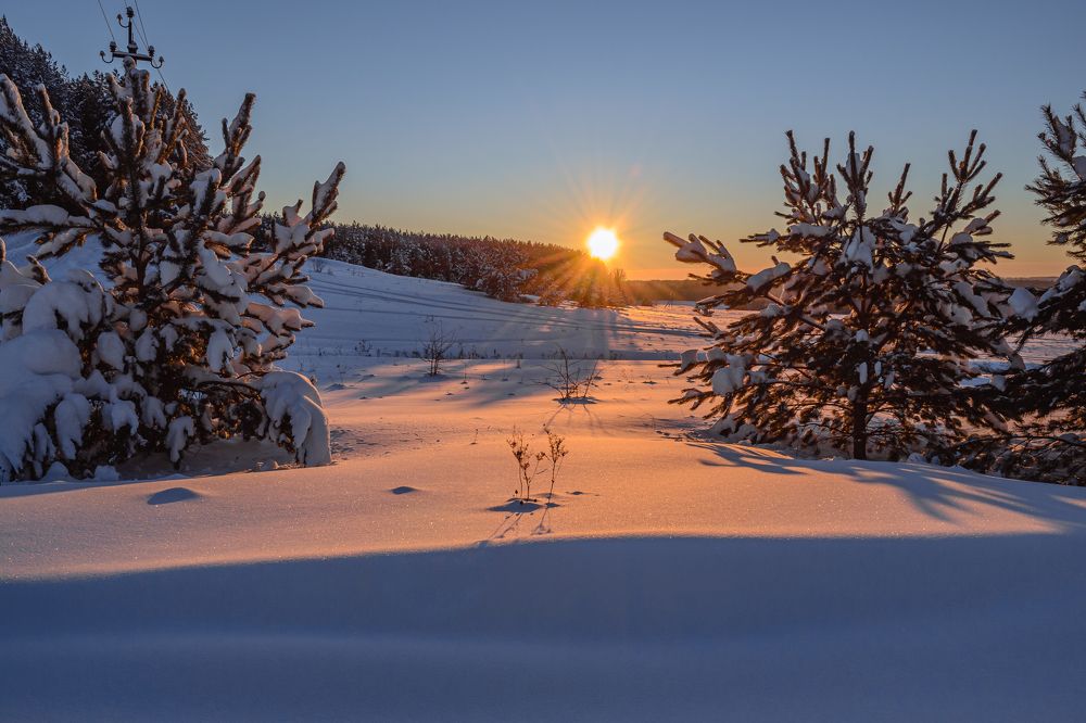 Фотография автора Набоков Андрей