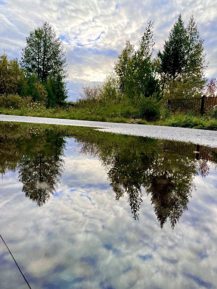 Photograph by Светлана Хохлова