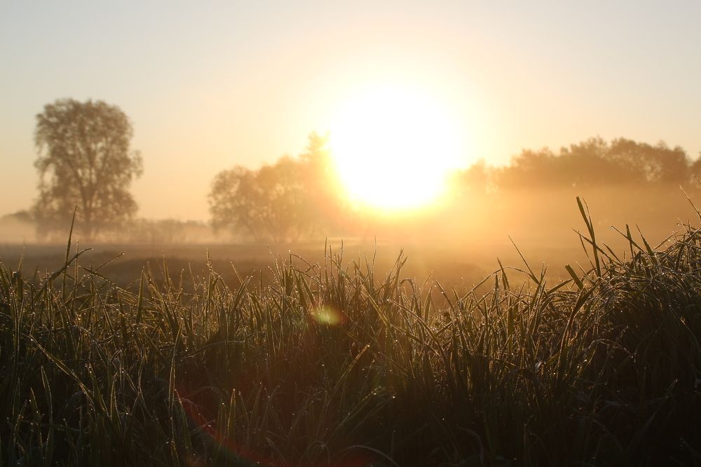 Photograph by Илья Воякин