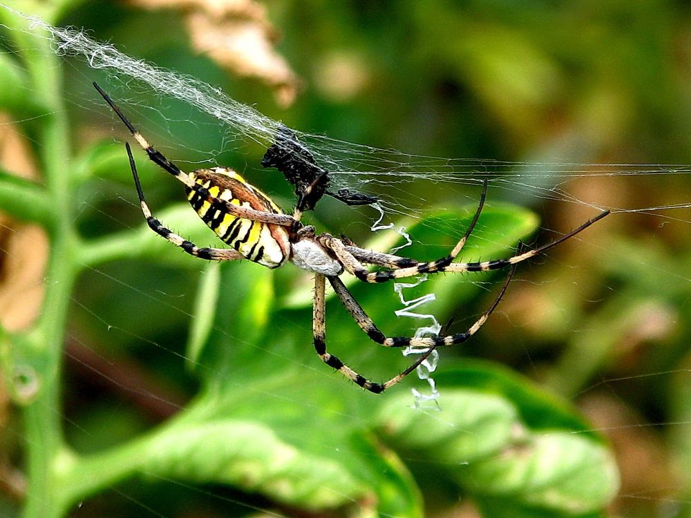 Photograph by Александр Стрельченко