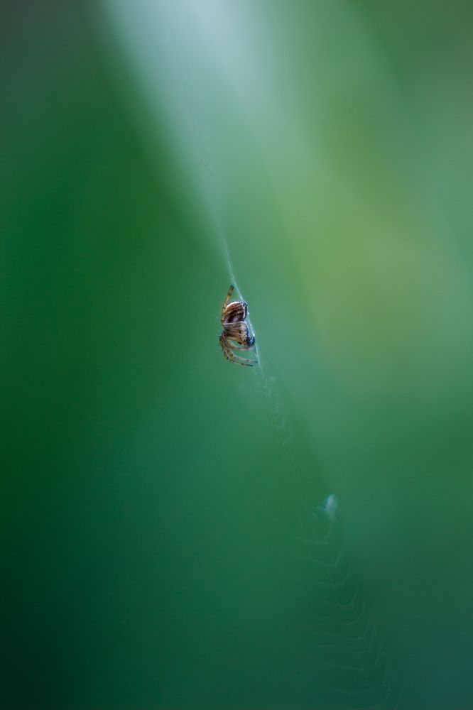 Photograph by Александр Стрельченко