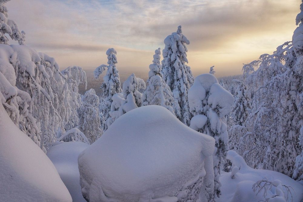 Photograph by Наталья Фрейман