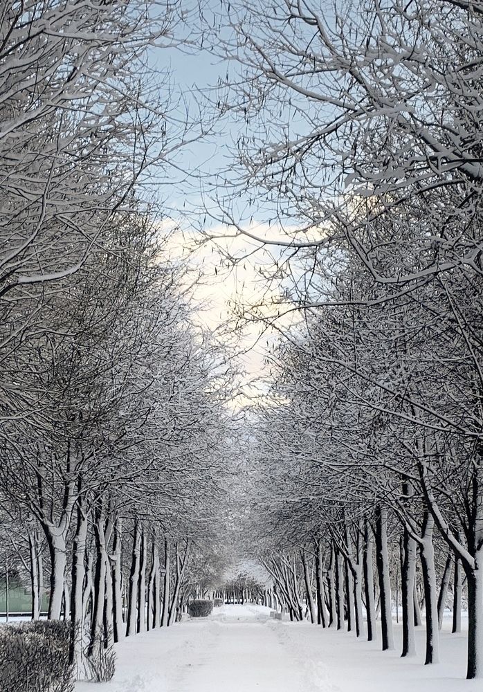 Photograph by Оксана