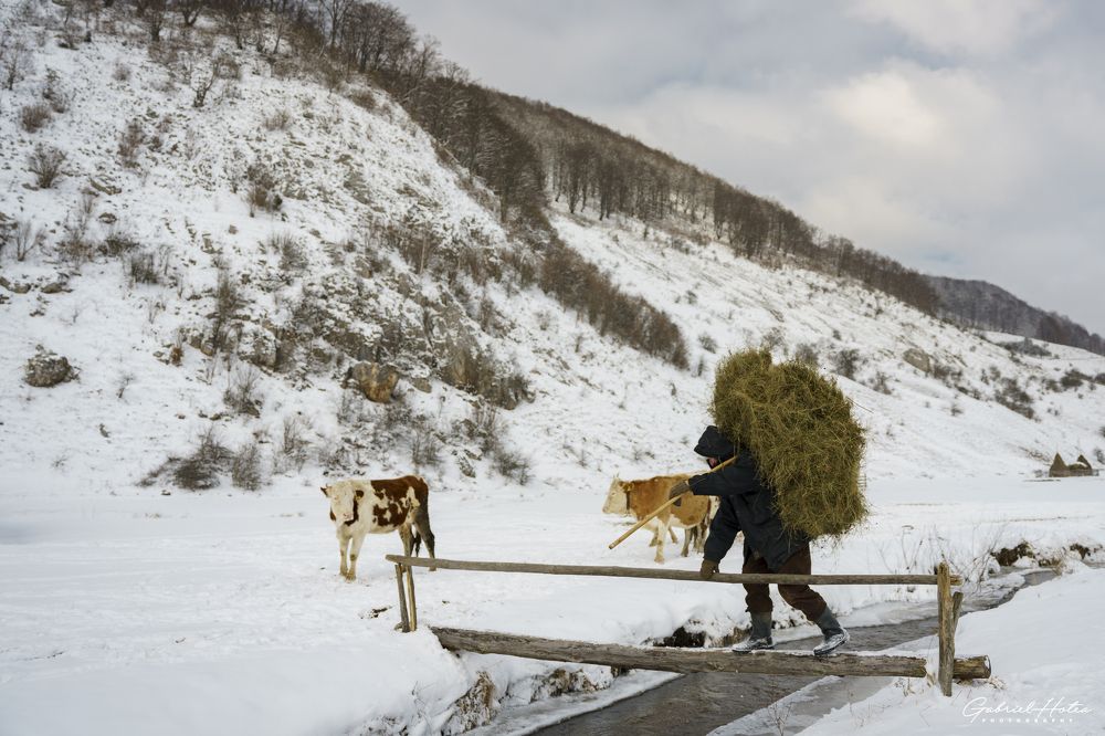Фотография автора H Gabriel