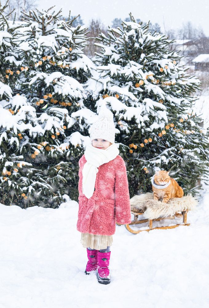 Фотография автора Есина Елена