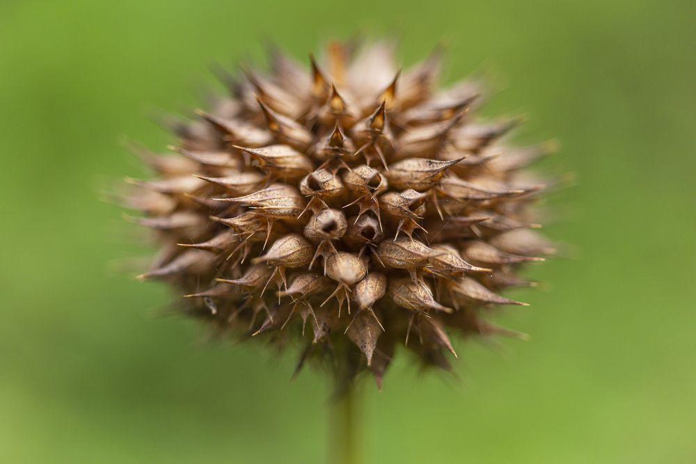 Photograph by Jorge Ivan Vasquez