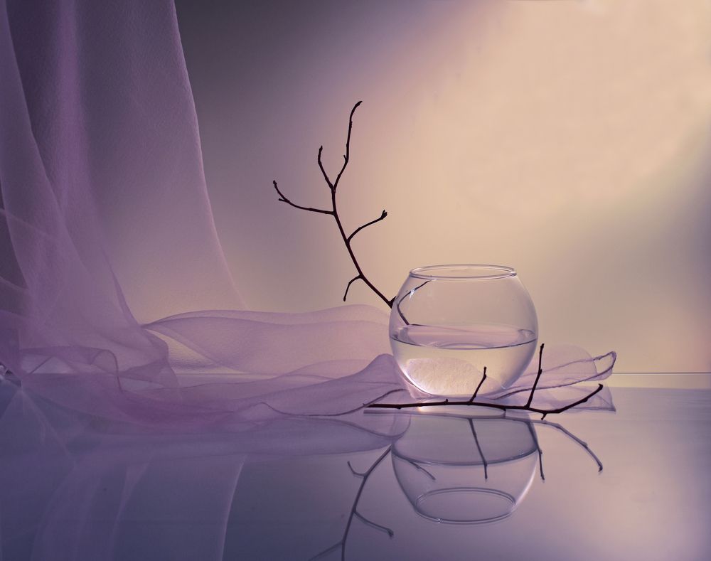 Photograph by Вера Звягинцева