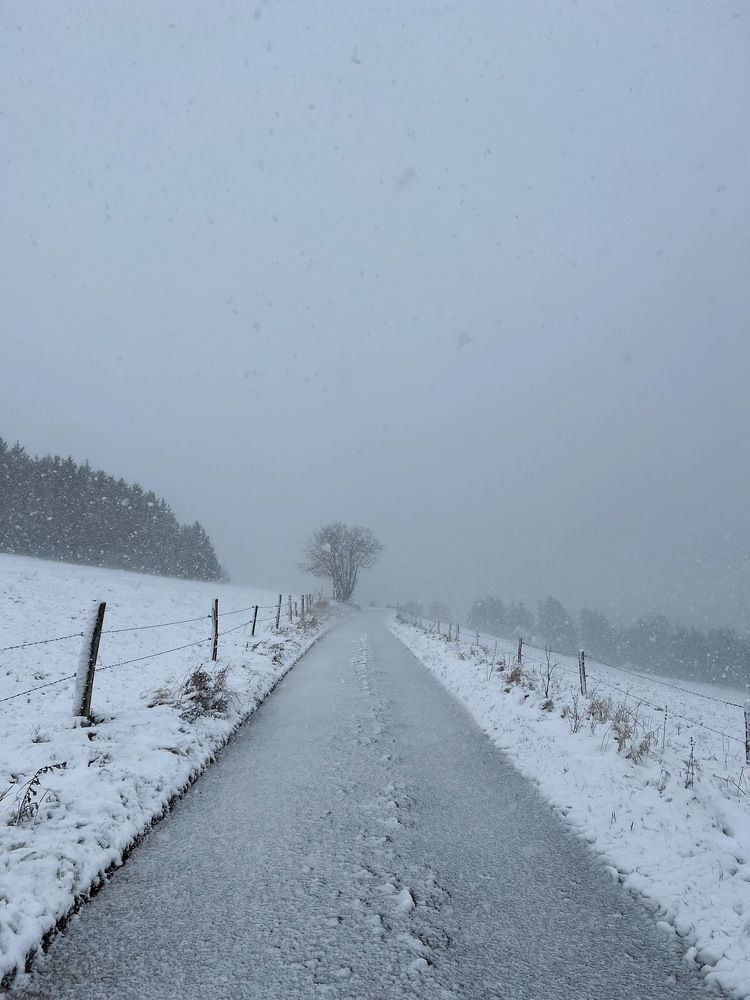 Фотография автора Anna Glotova