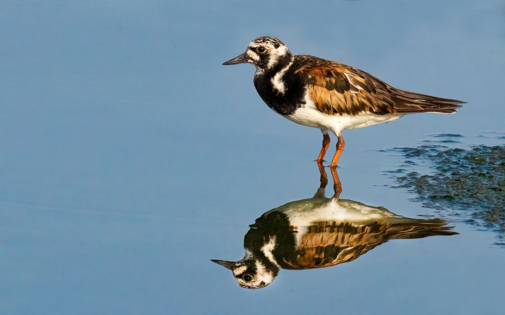 Фотография автора Paul Manjooran