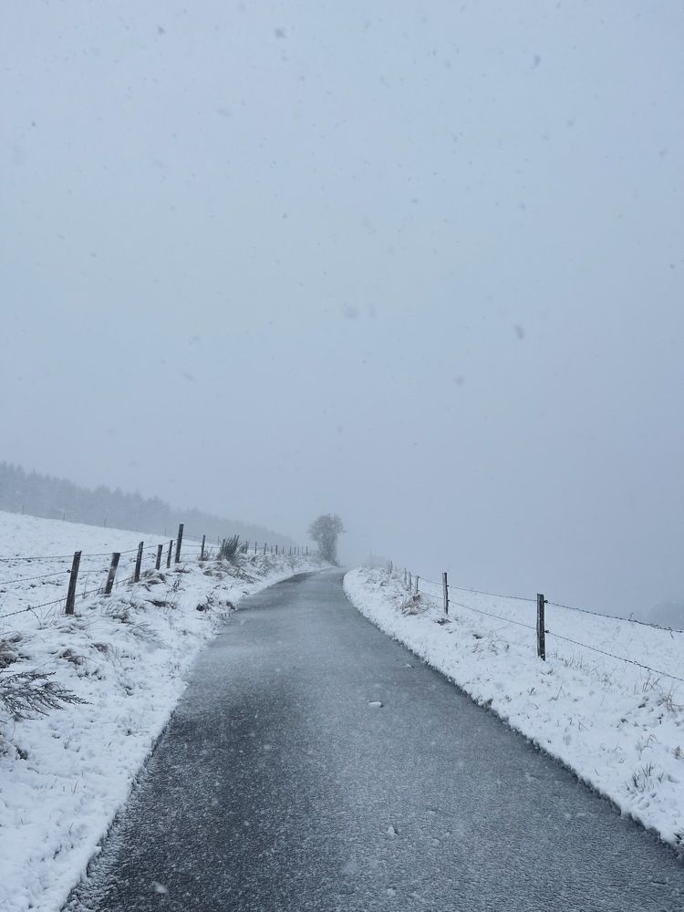 Фотография автора Anna Glotova