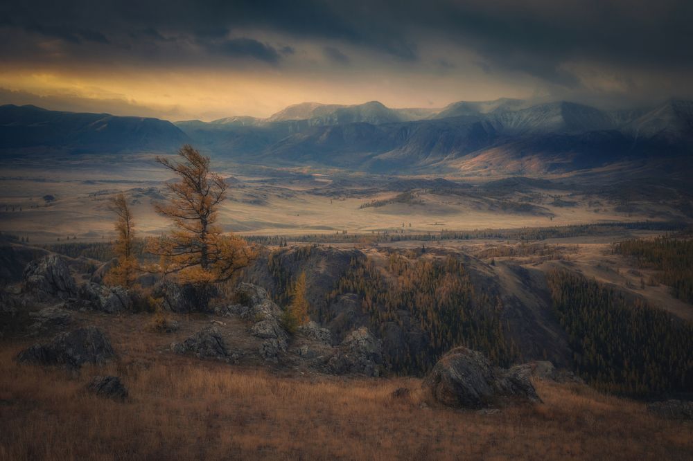 Photograph by Алексей Кретов