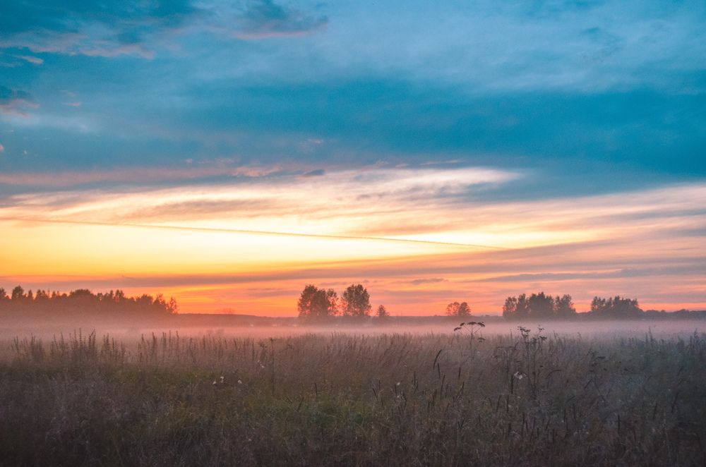 Photograph by Яна Мальцева