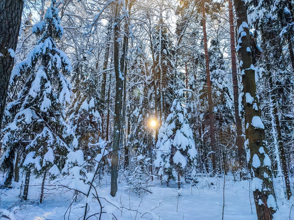 Photograph by Илья Воякин