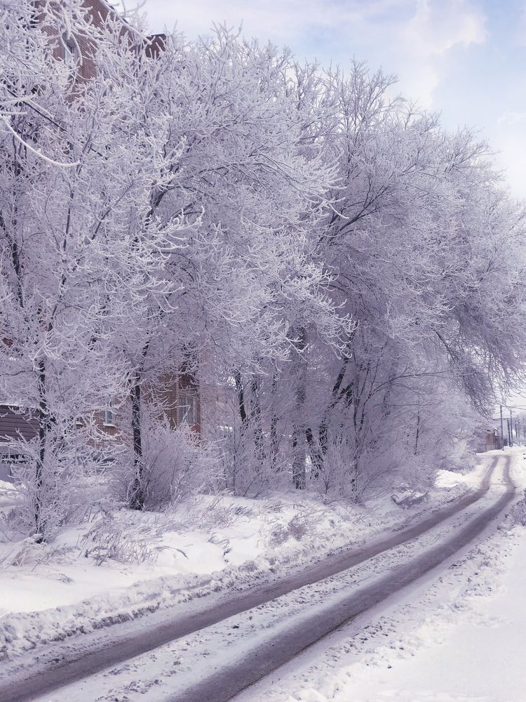 Photograph by Наталья Перерва