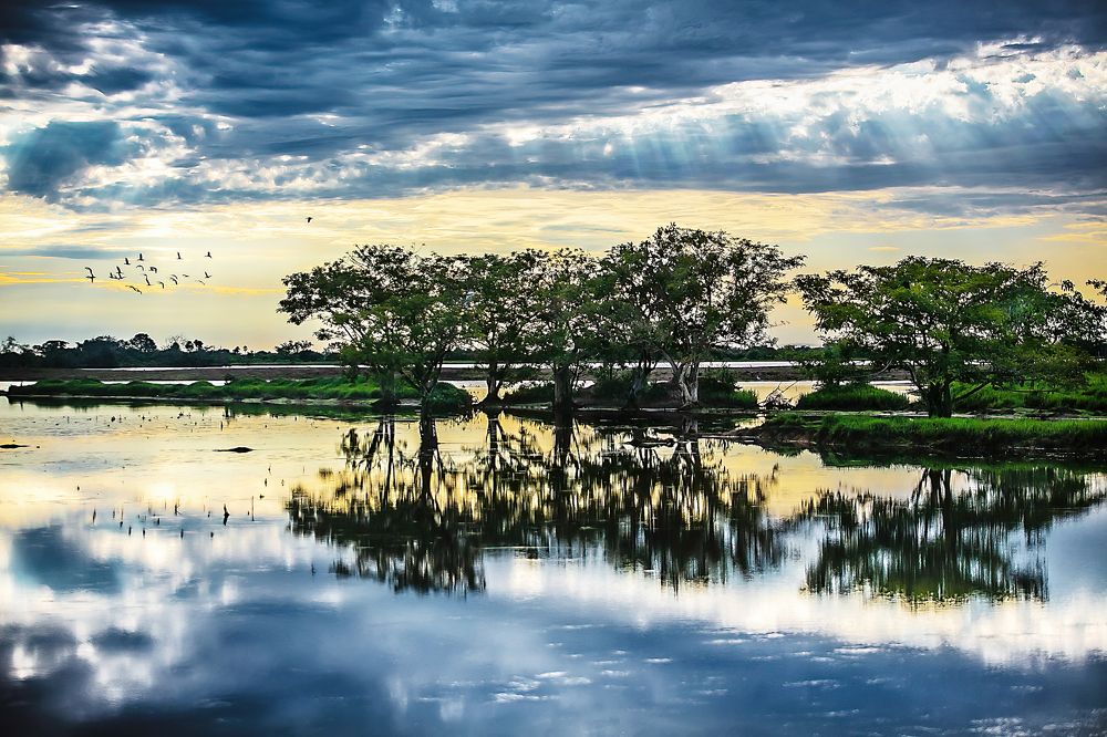 Photograph by Jorge Ivan Vasquez