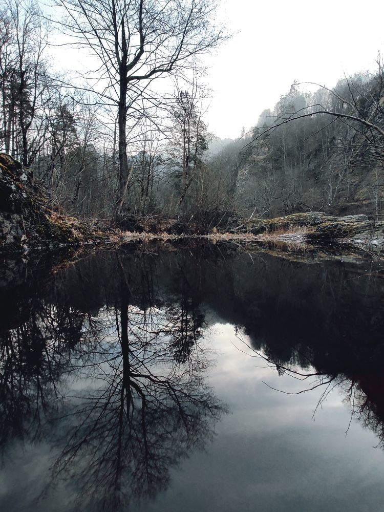 Photograph by Владимир Караман