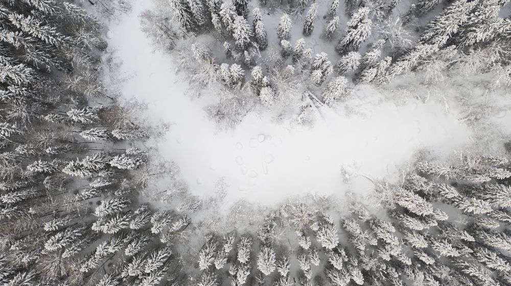 Photograph by Вадим Сташкевич