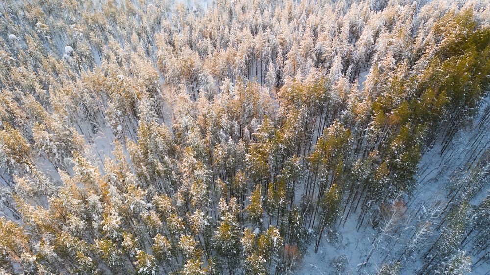 Photograph by Вадим Сташкевич