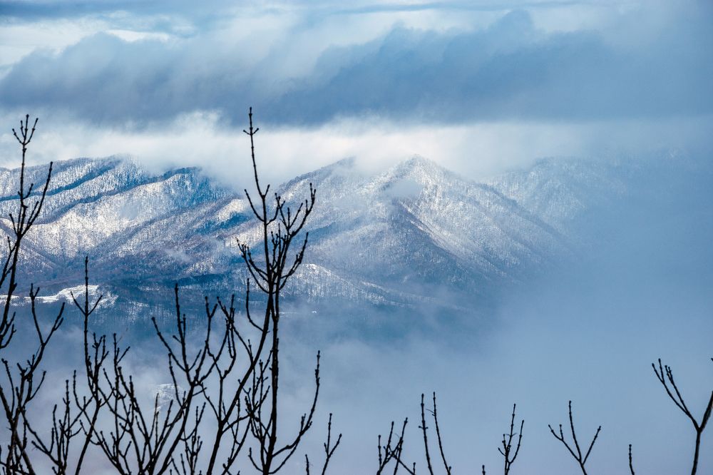 Photograph by Ольга Семина