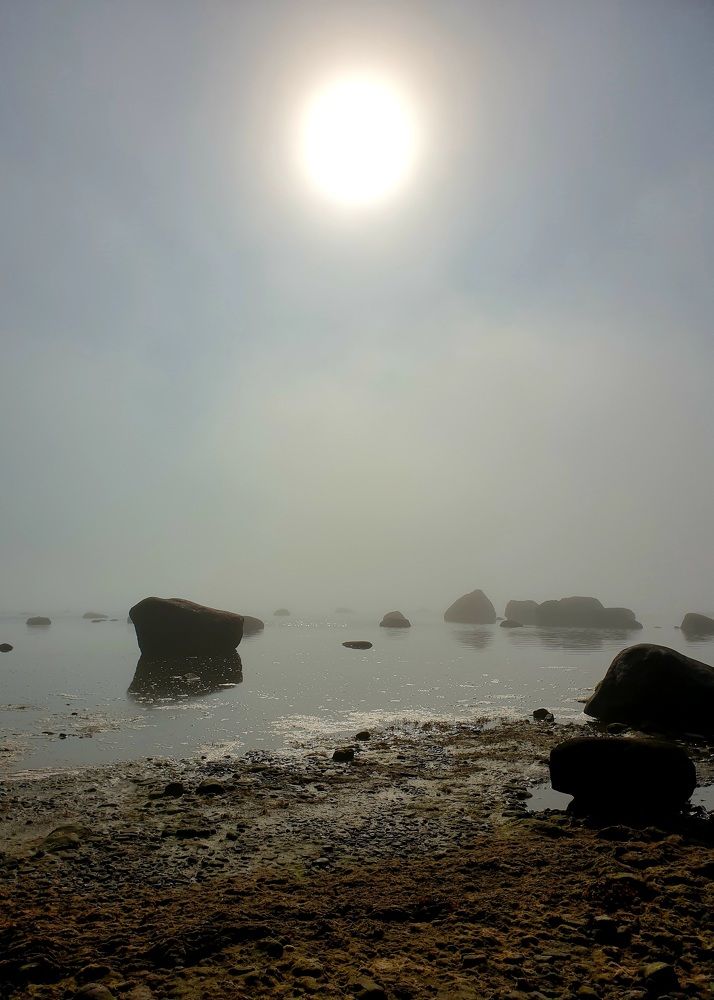 Photograph by Елена Блинова