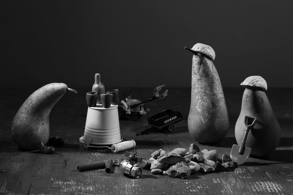 Фотография автора nolan