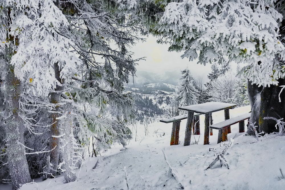 Photograph by Владимир Тертышник